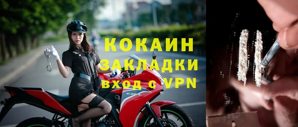 стаф Баксан