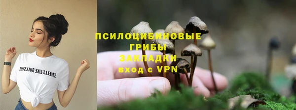 хмурый Балабаново