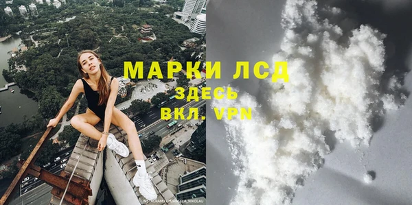 стаф Баксан