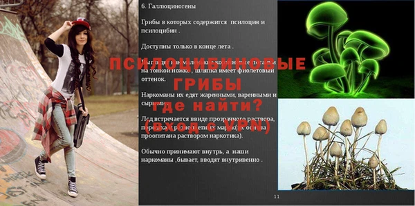 хмурый Балабаново