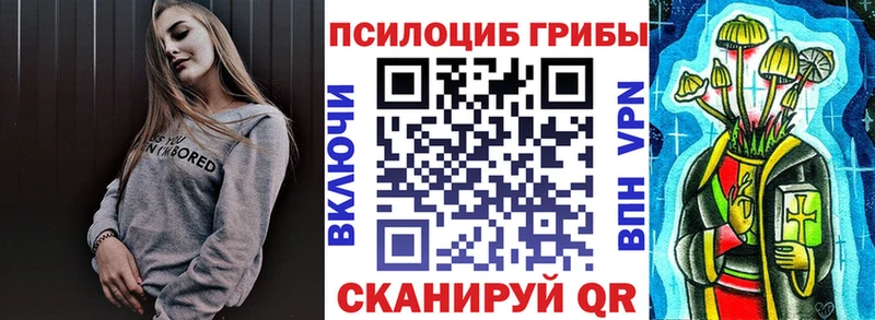 Галлюциногенные грибы Psilocybine cubensis Никольск